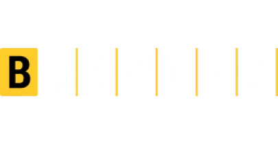 भागीदार जो Rollbit के साथ काम करते हैं