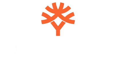 partners who work with Rollbit